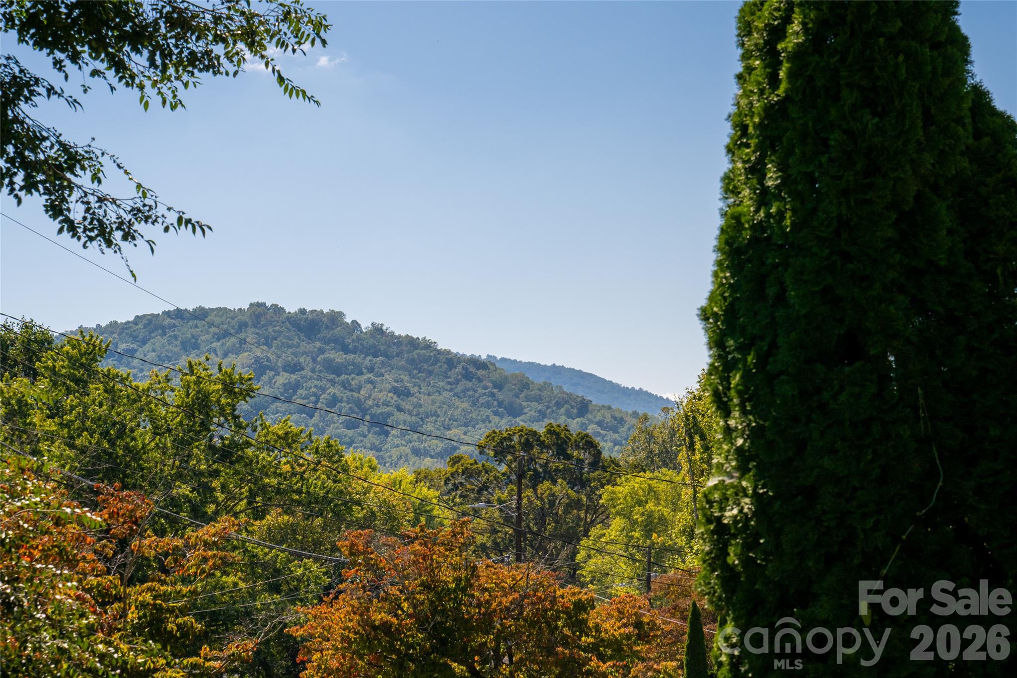 23 Wagon Road Property Photo 11