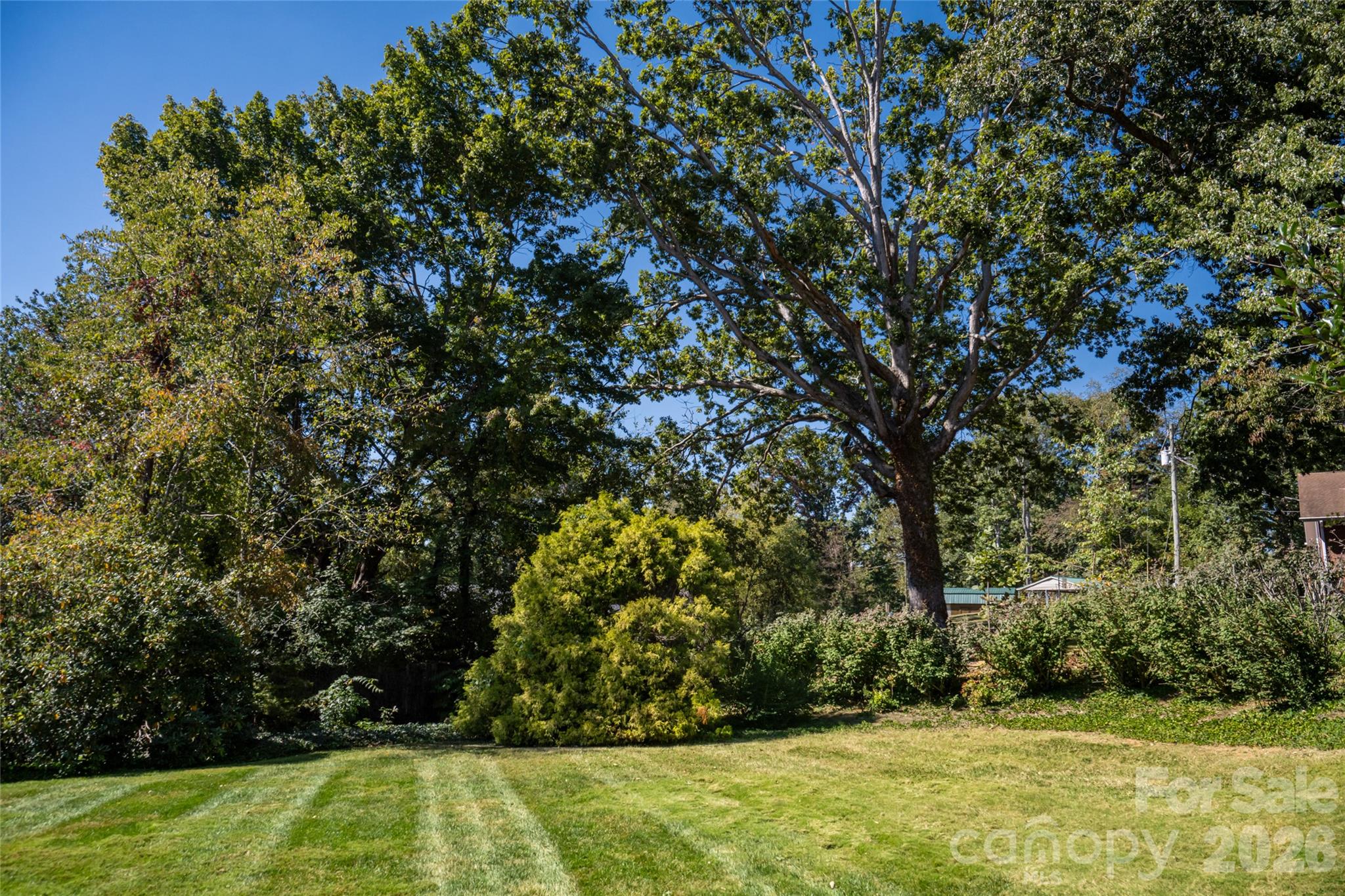 23 Wagon Road Property Photo 34