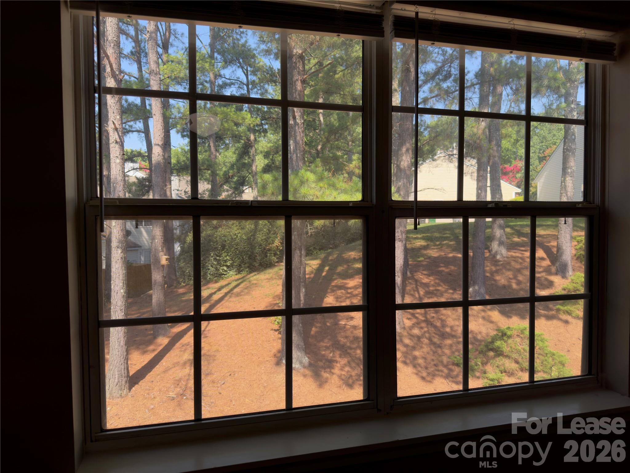 3103 Summercroft Lane Property Photo 29