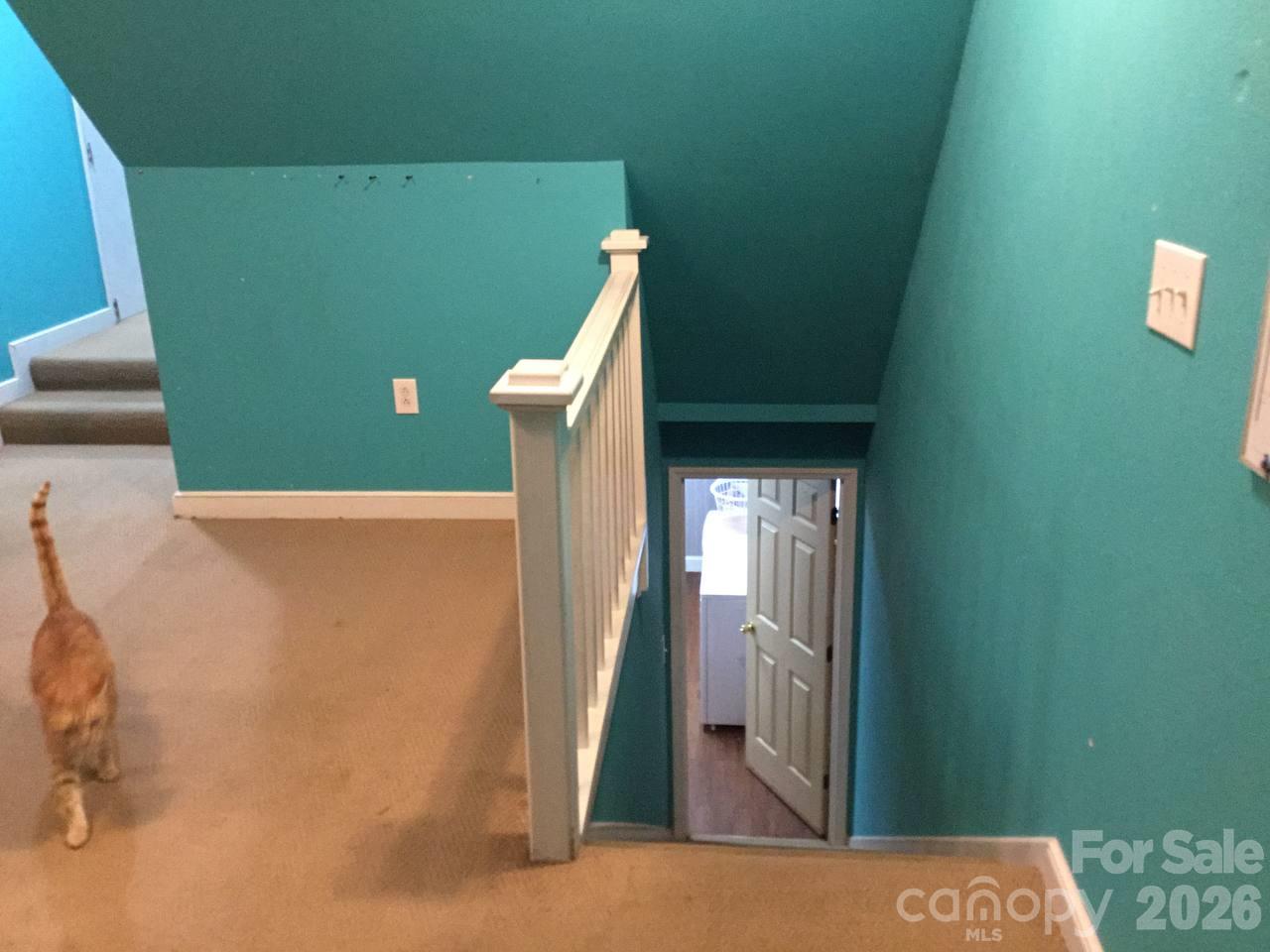 4211 Briarcliff Drive Property Photo 23