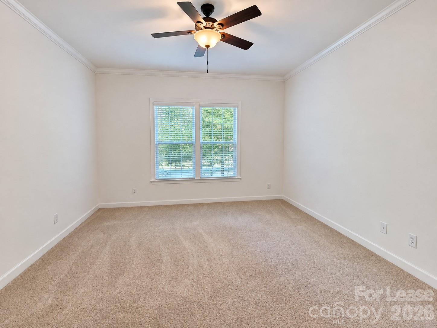 1533 Springfield Drive Property Photo 20