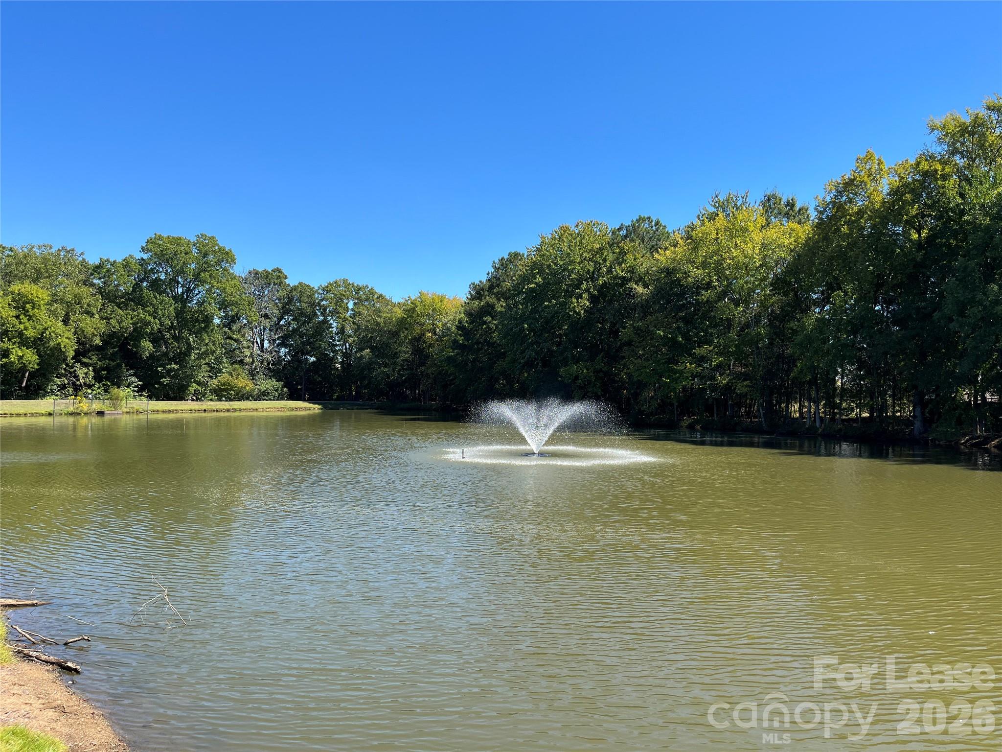 15315 Edgewater Forest Lane Property Photo 39