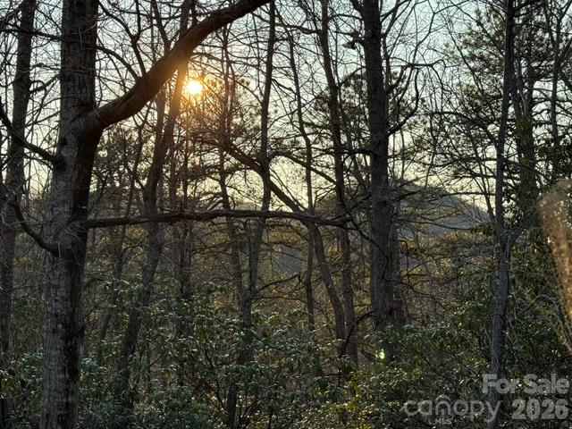 Tbd Burnt Ridge Trail Property Photo 3