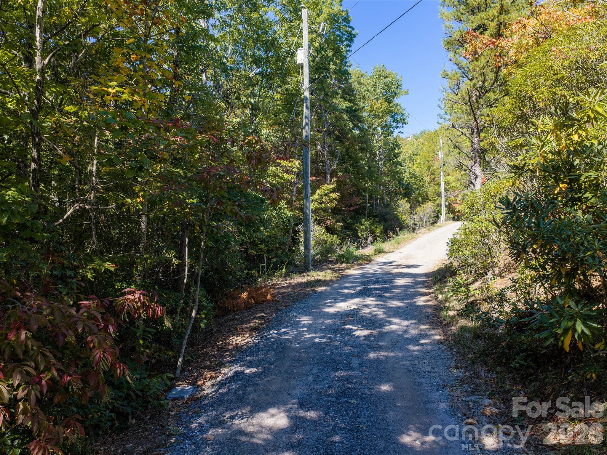 Tbd Burnt Ridge Trail Property Photo 4