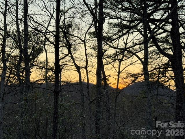 Tbd Burnt Ridge Trail Property Photo 7