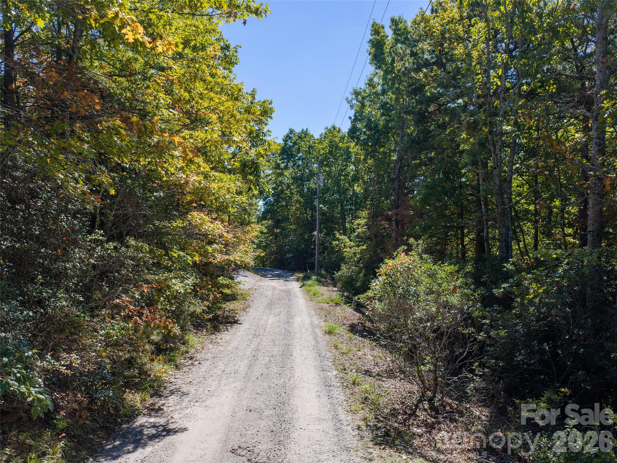 Tbd Burnt Ridge Trail Property Photo 8
