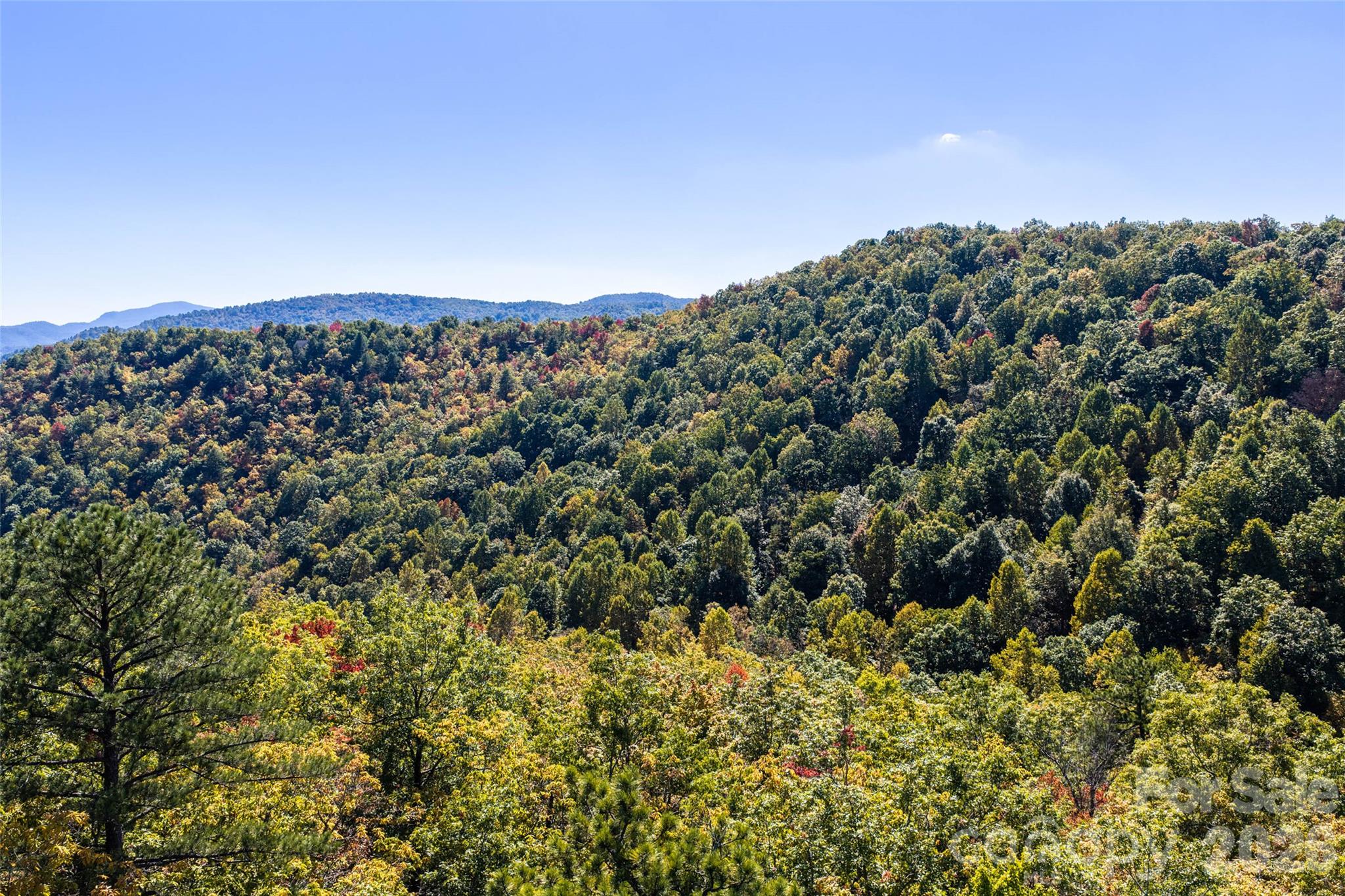 Tbd Burnt Ridge Trail Property Photo 13