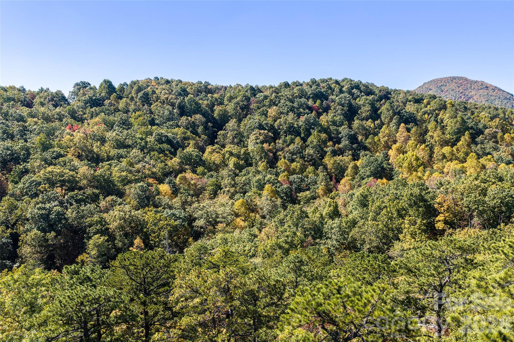 Tbd Burnt Ridge Trail Property Photo 15