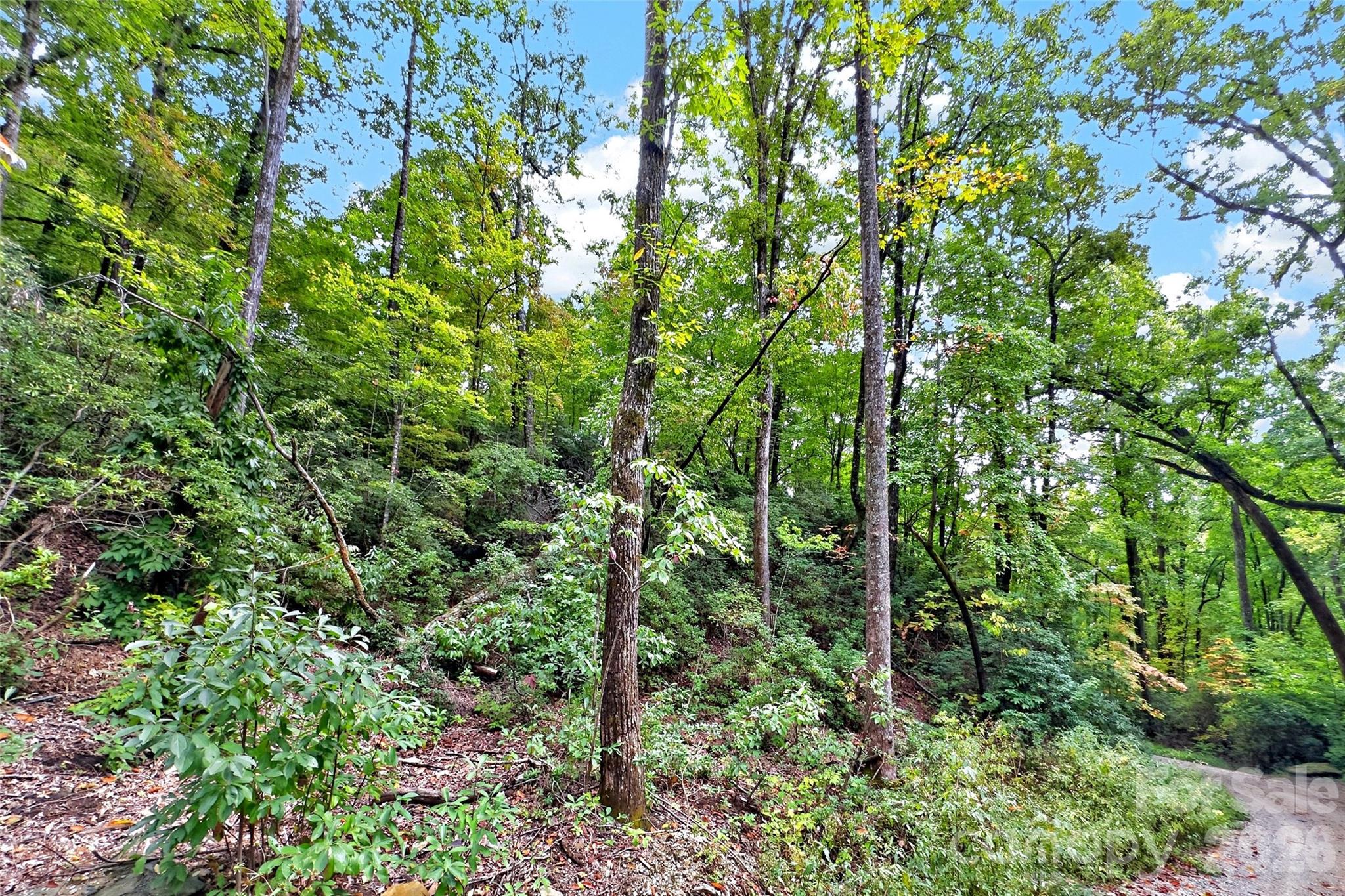999 Rhododendron Rhododendron Drive 743 Property Photo 4