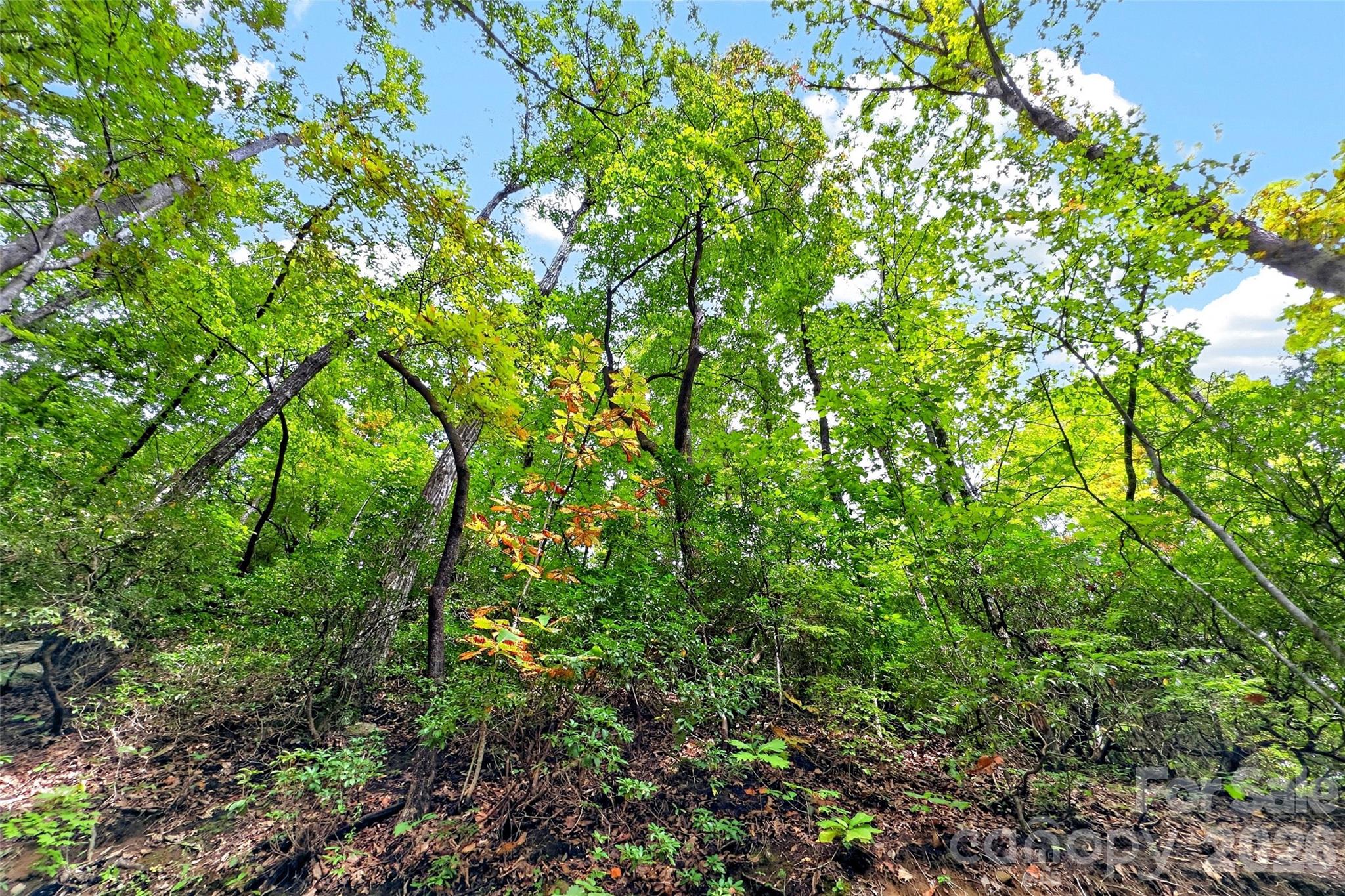 999 Rhododendron Rhododendron Drive 743 Property Photo 10