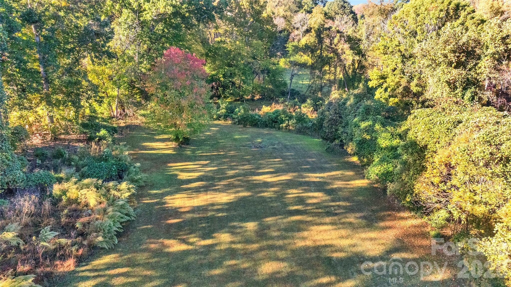 392 Lone Tree Lane Property Photo 28