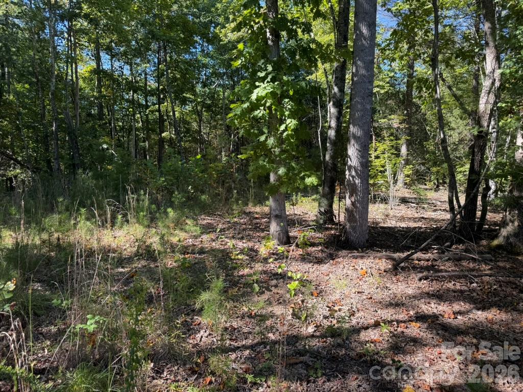 3623 Pax Hill Road Property Photo 1
