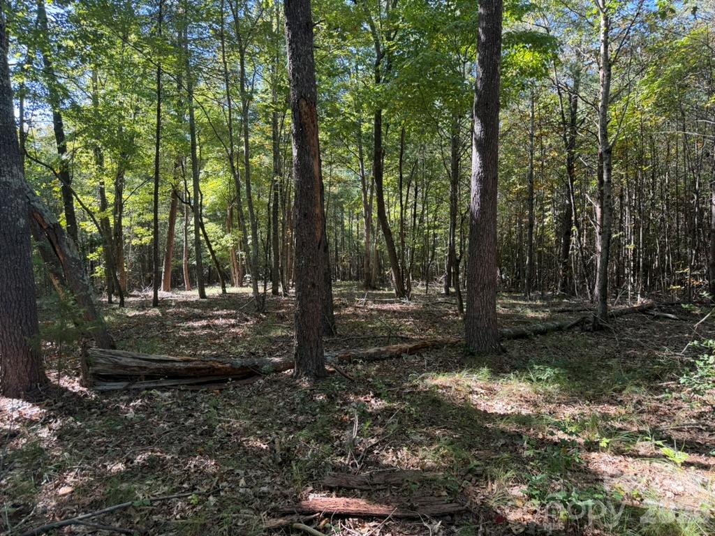 3623 Pax Hill Road Property Photo 2