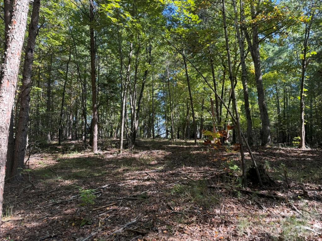 3623 Pax Hill Road Property Photo 3