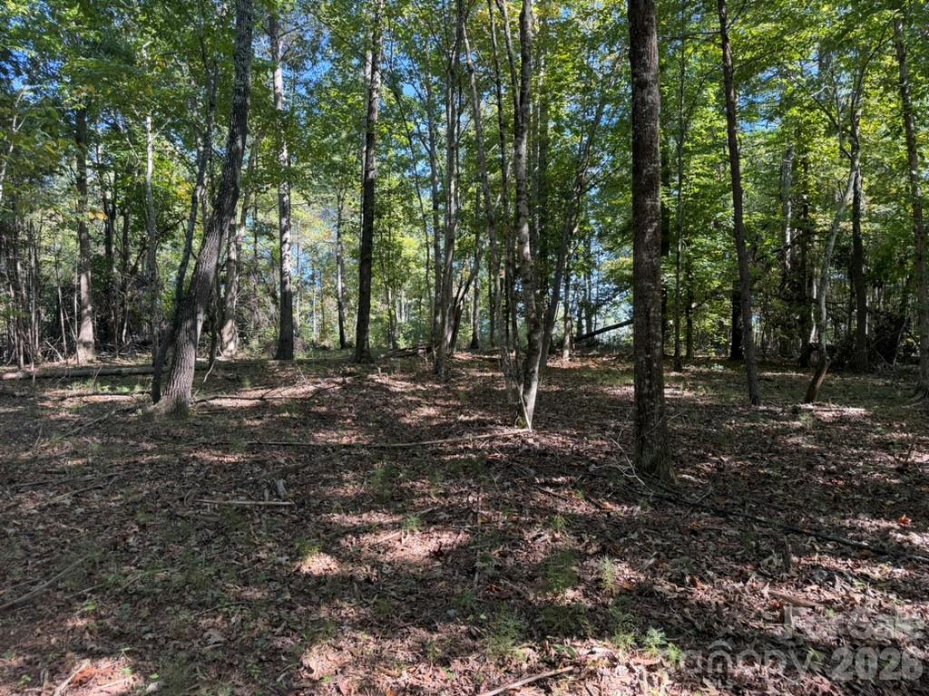3623 Pax Hill Road Property Photo 4