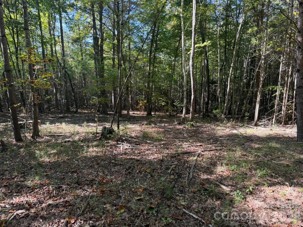 3623 Pax Hill Road Property Photo 5