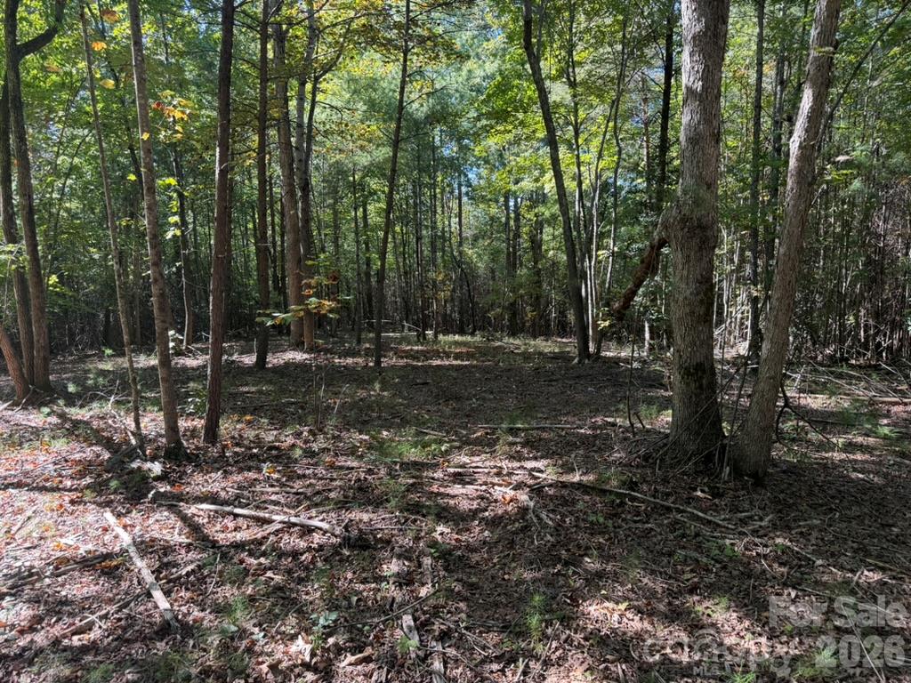 3623 Pax Hill Road Property Photo 6