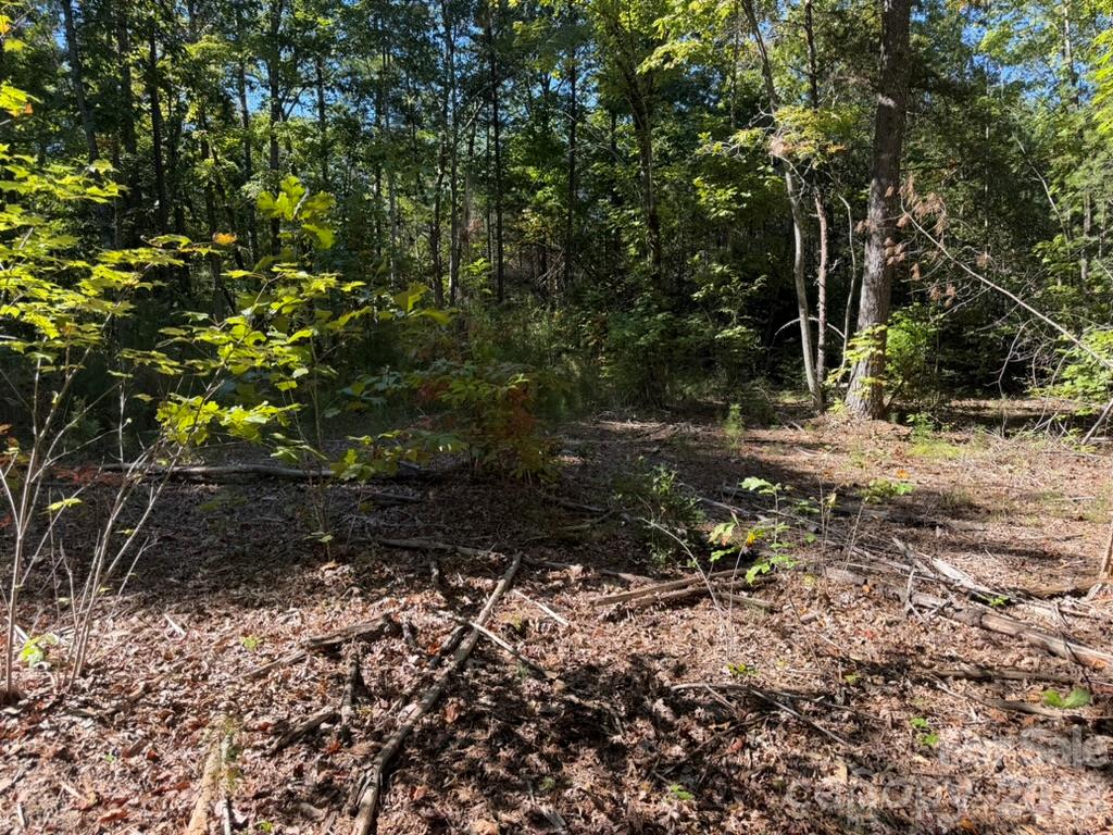 3623 Pax Hill Road Property Photo 7
