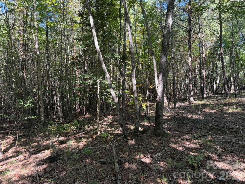 3623 Pax Hill Road Property Photo 8