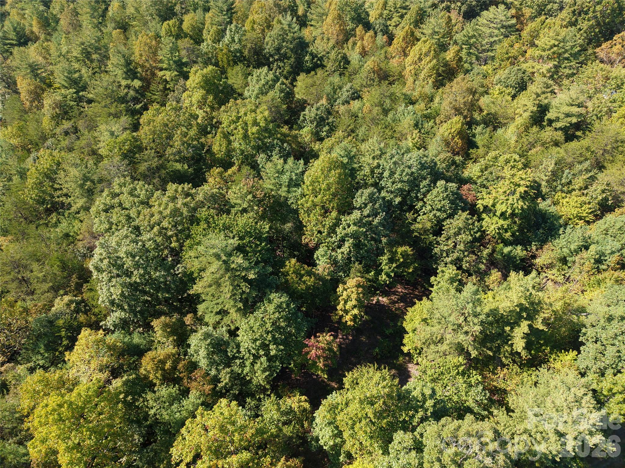 3623 Pax Hill Road Property Photo 10