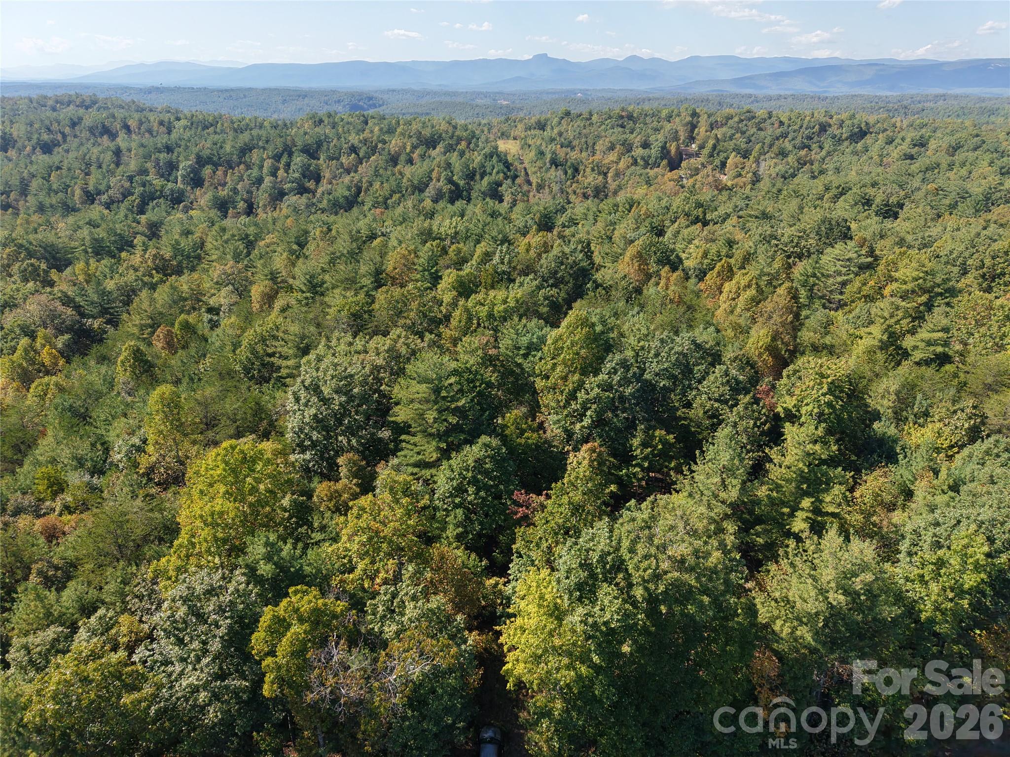 3623 Pax Hill Road Property Photo 12