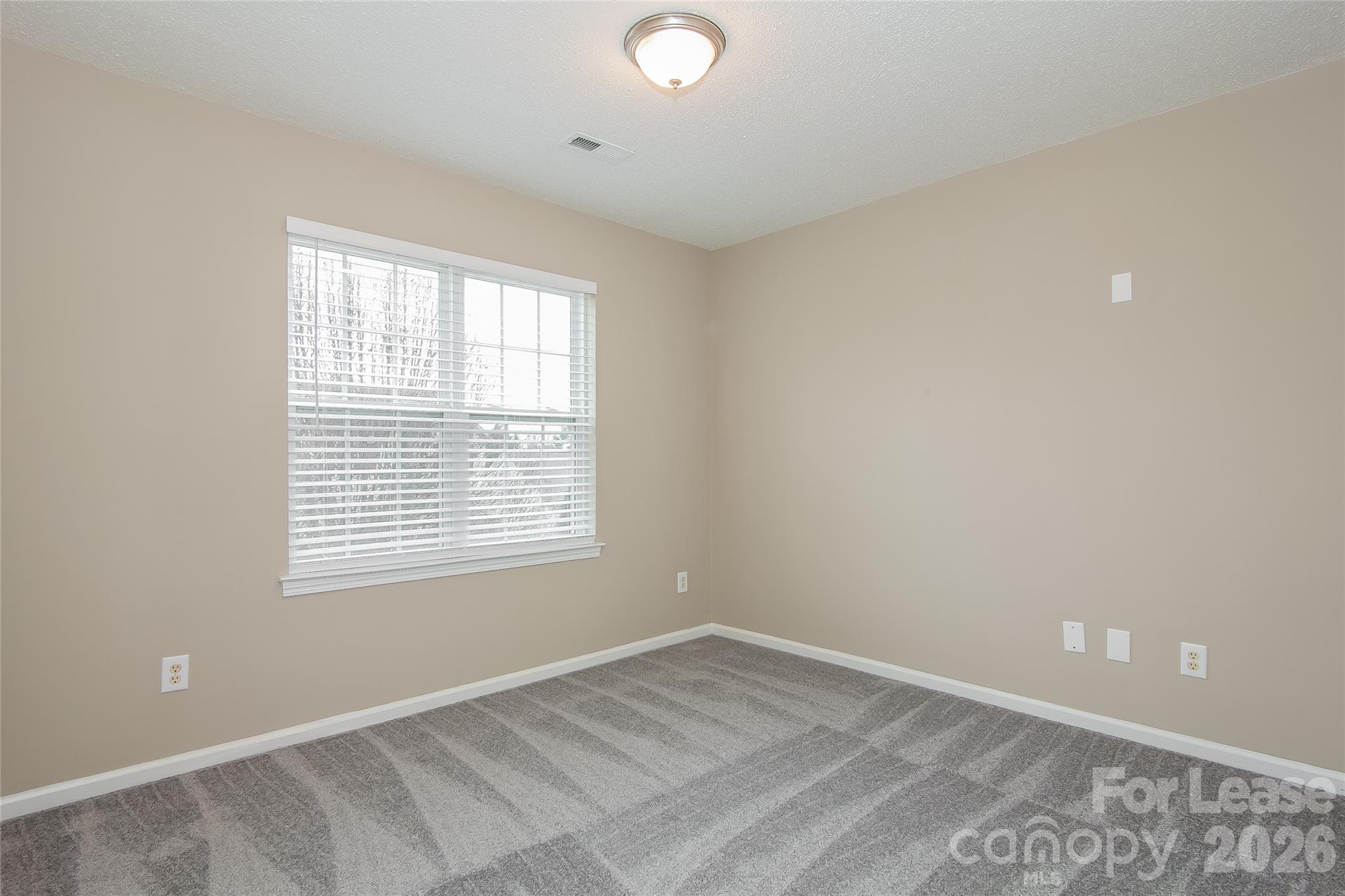 4019 Balsam Street Property Photo 11