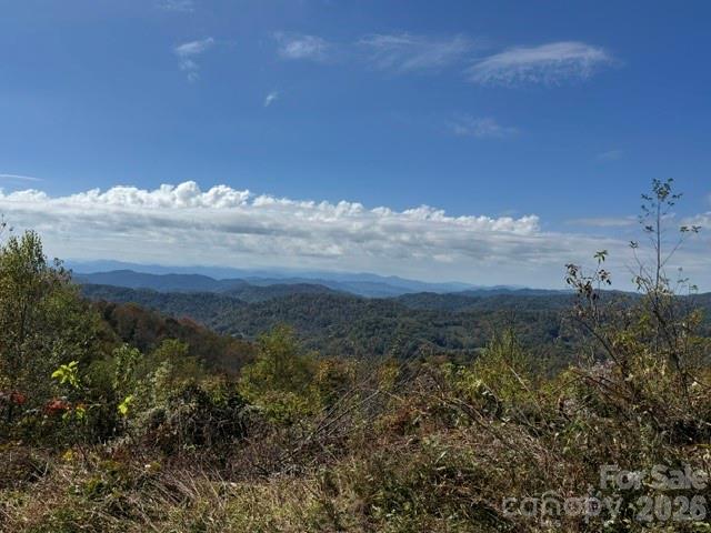 50 Scenic Wolf Ridge Road Property Photo 1