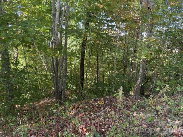 50 Scenic Wolf Ridge Road Property Photo 2
