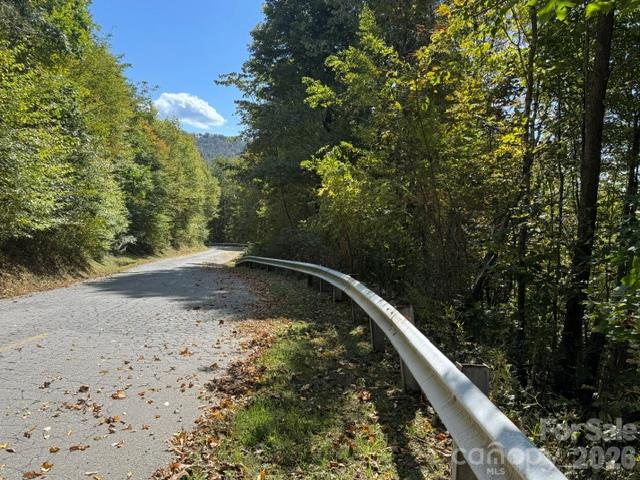 50 Scenic Wolf Ridge Road Property Photo 3
