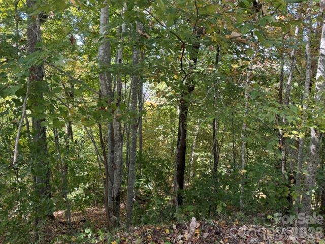 50 Scenic Wolf Ridge Road Property Photo 4