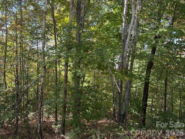 50 Scenic Wolf Ridge Road Property Photo 5