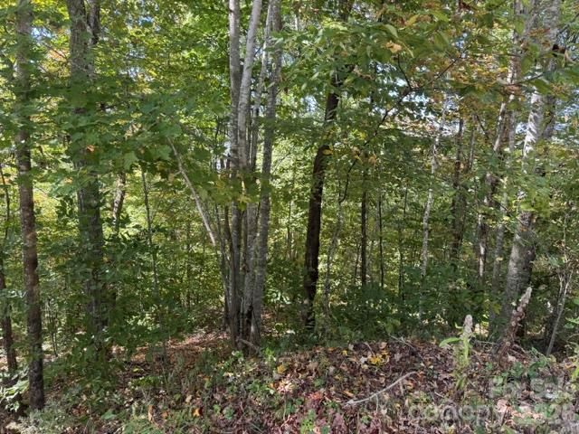 50 Scenic Wolf Ridge Road Property Photo 6