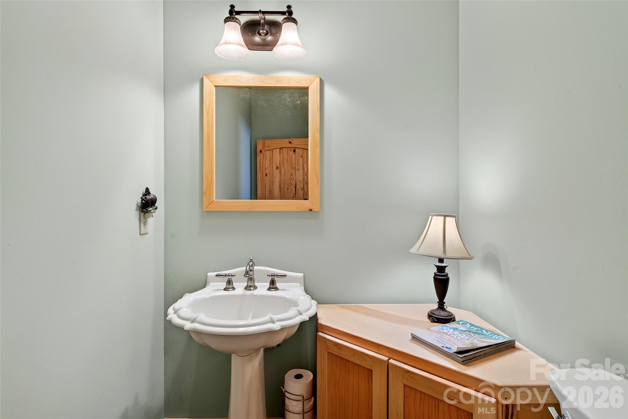 155 Mule Trail Drive Property Photo 20
