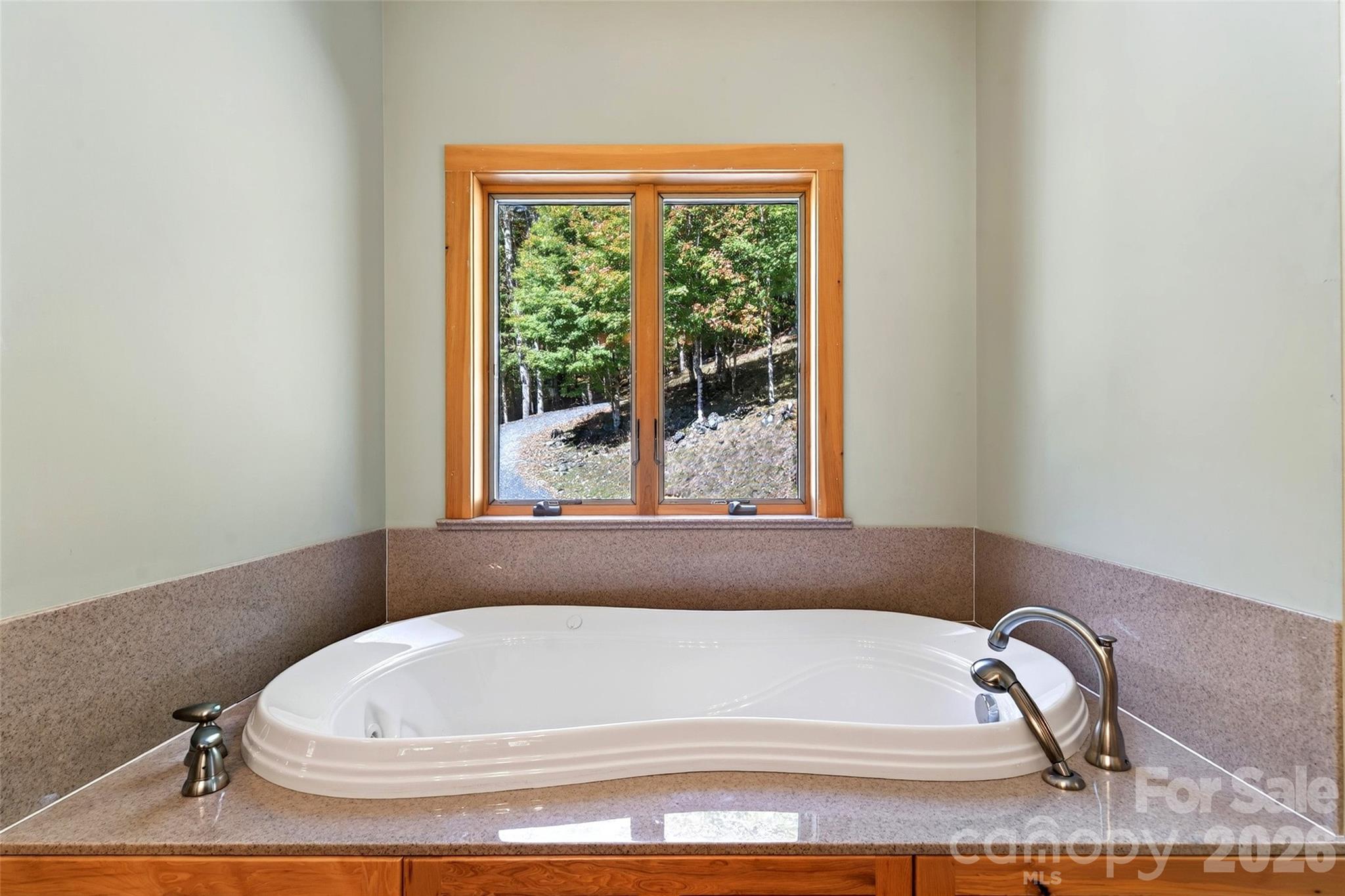 155 Mule Trail Drive Property Photo 26