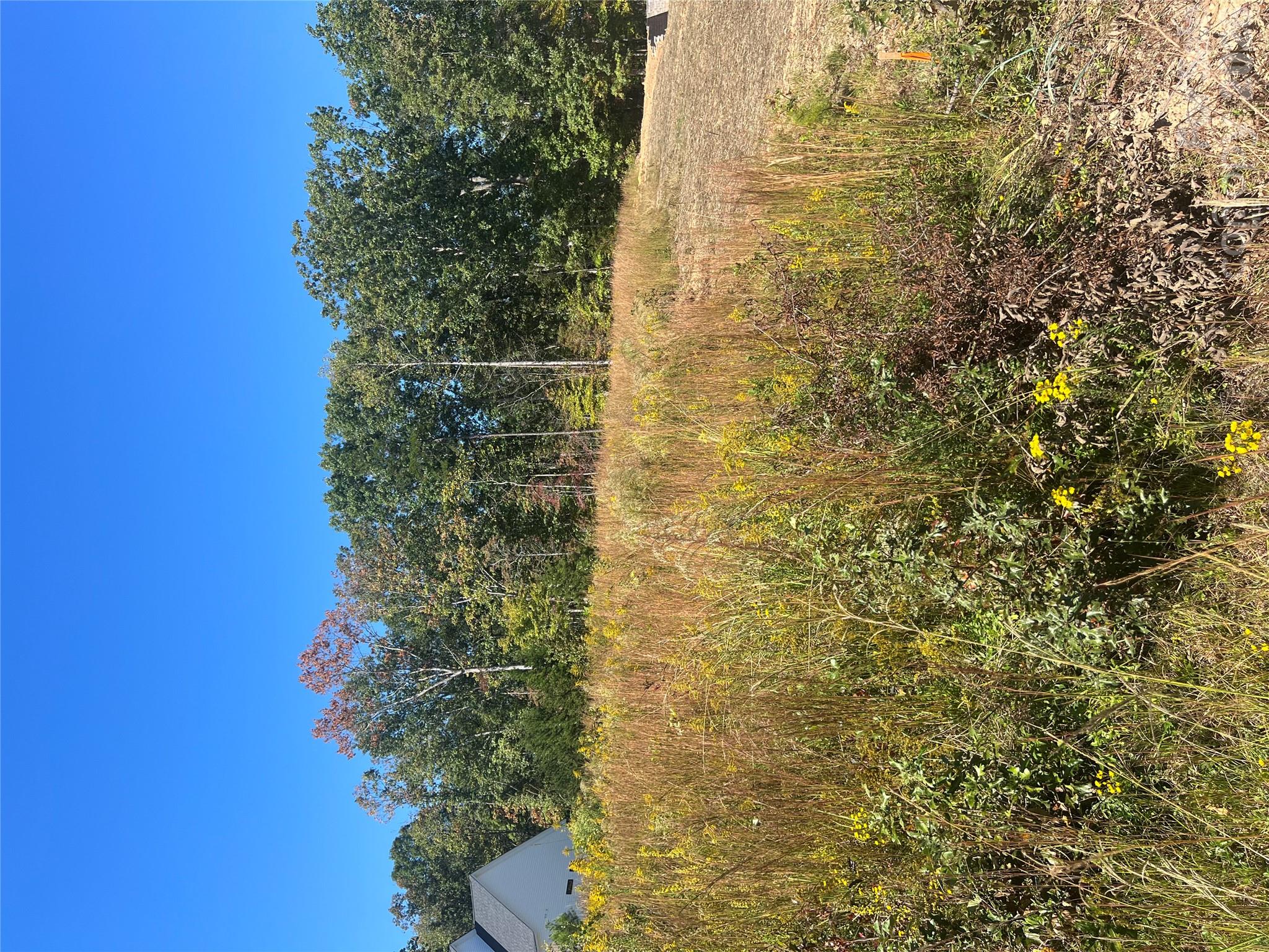 12125 Coyle Road 10 Property Photo 9