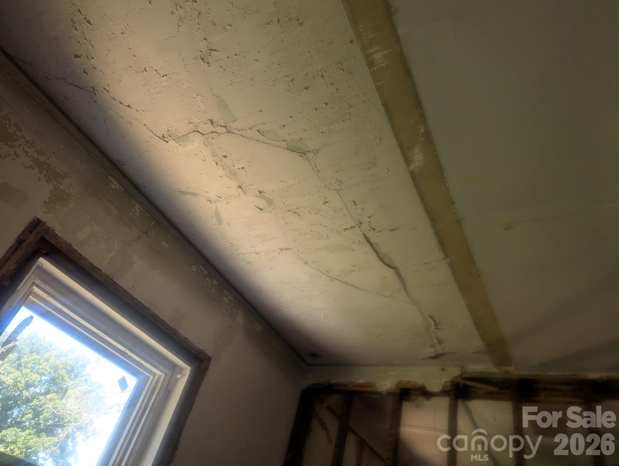 229 Wilson Street Property Photo 7