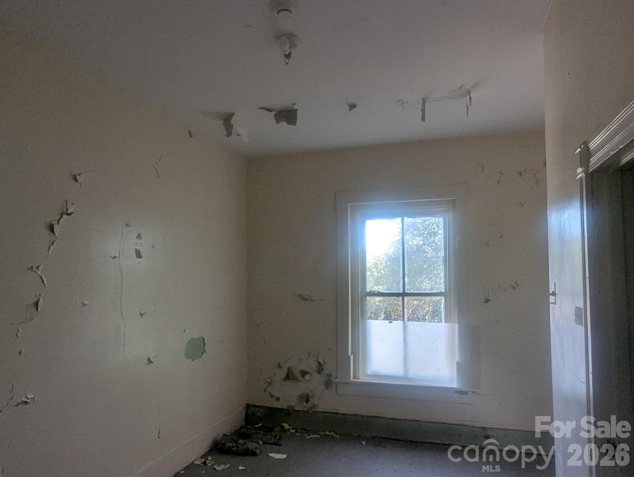 229 Wilson Street Property Photo 12