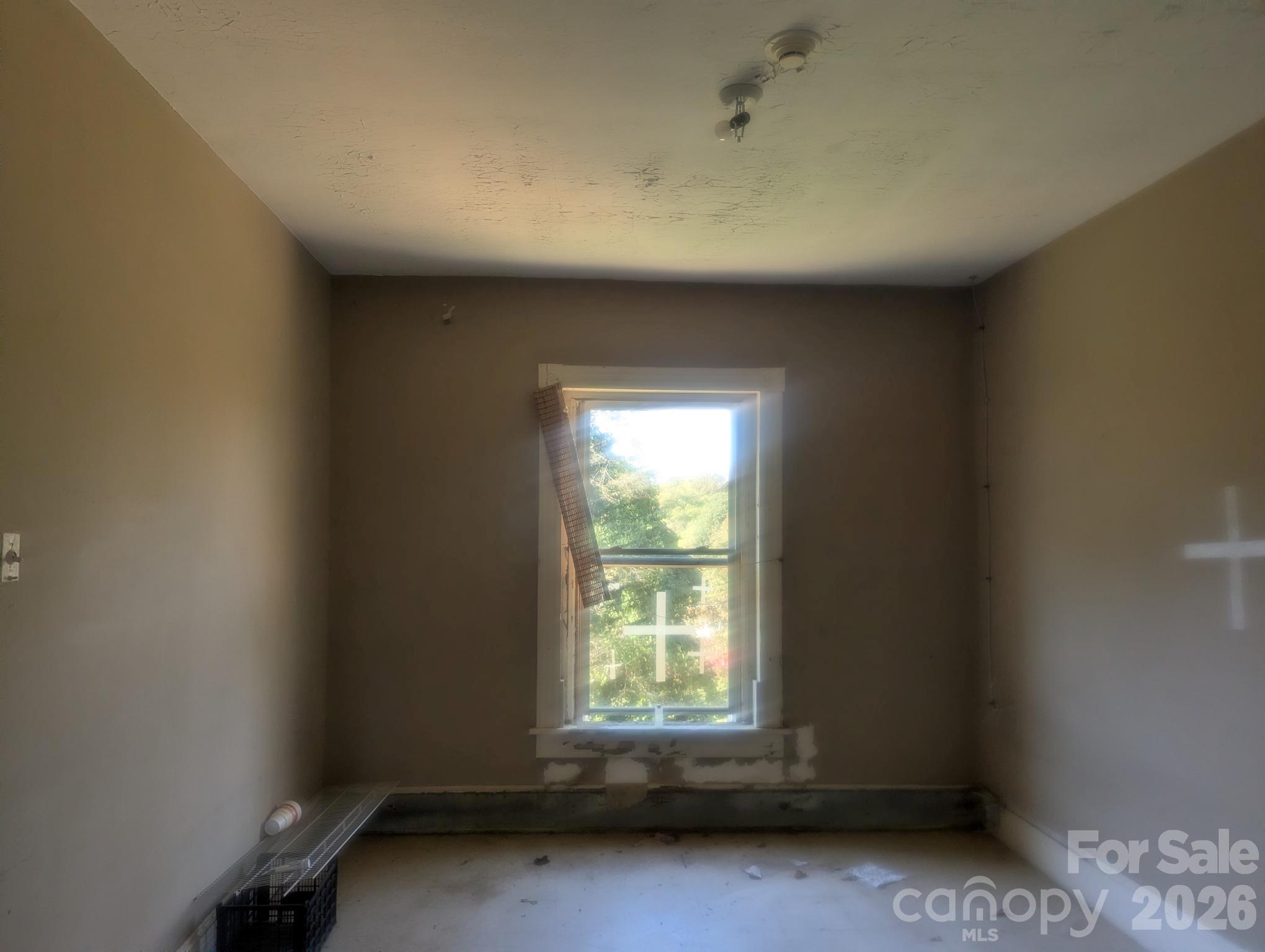 229 Wilson Street Property Photo 13