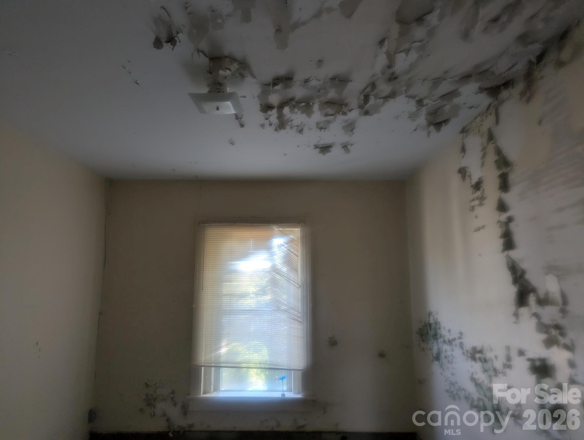 229 Wilson Street Property Photo 14
