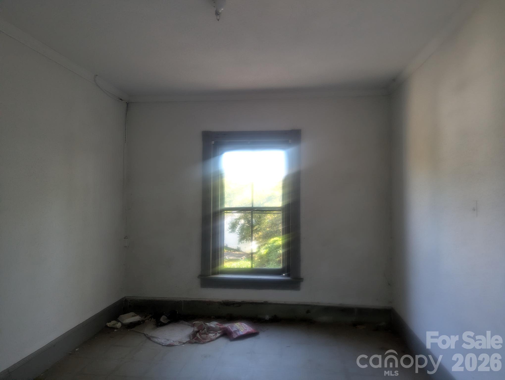 229 Wilson Street Property Photo 15