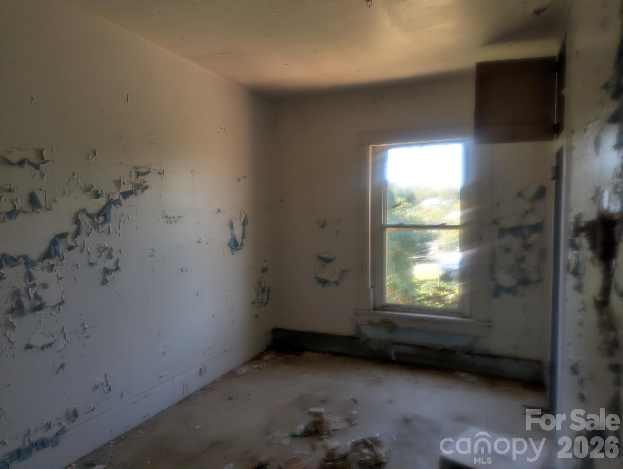229 Wilson Street Property Photo 16
