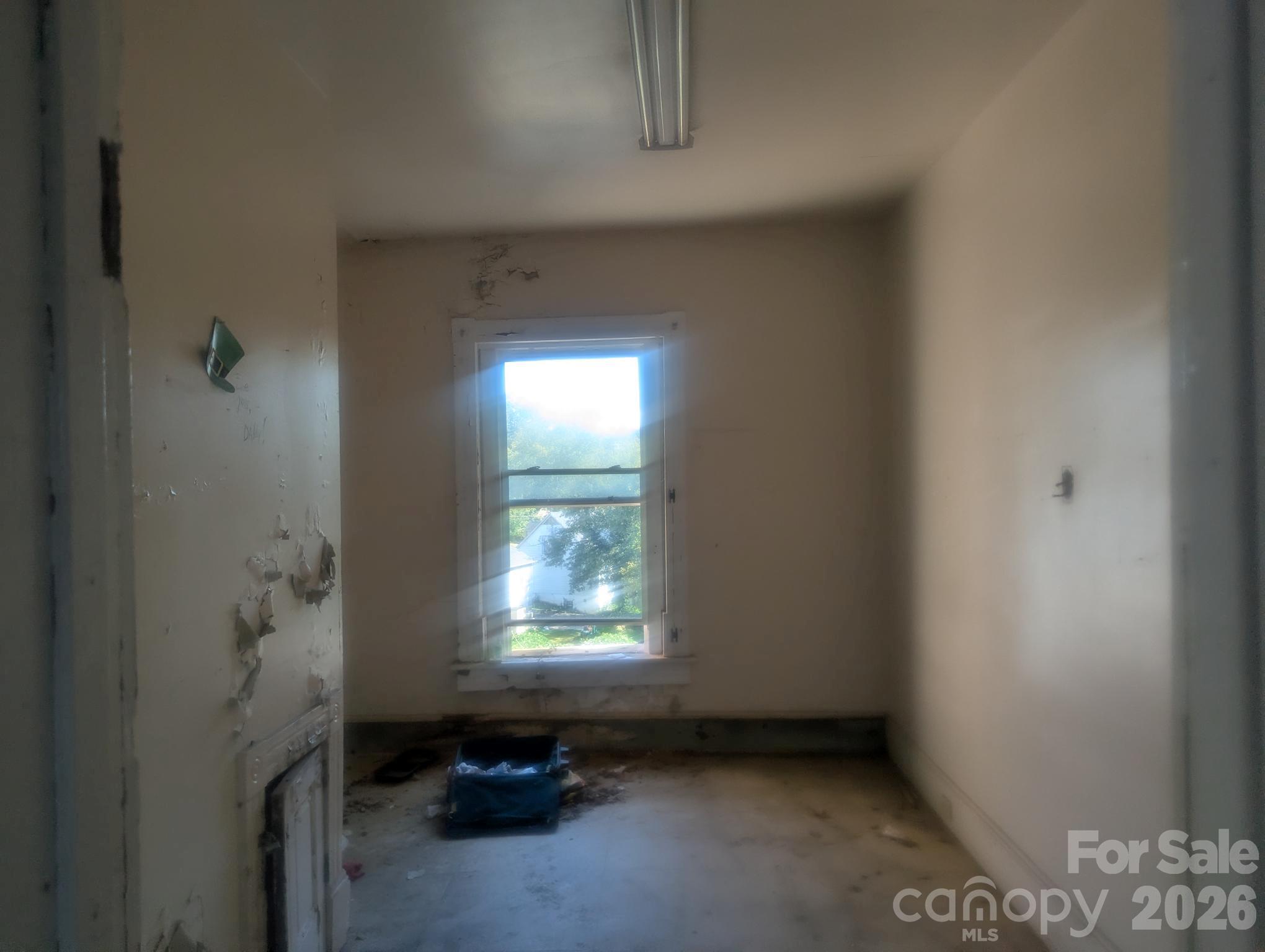 229 Wilson Street Property Photo 17