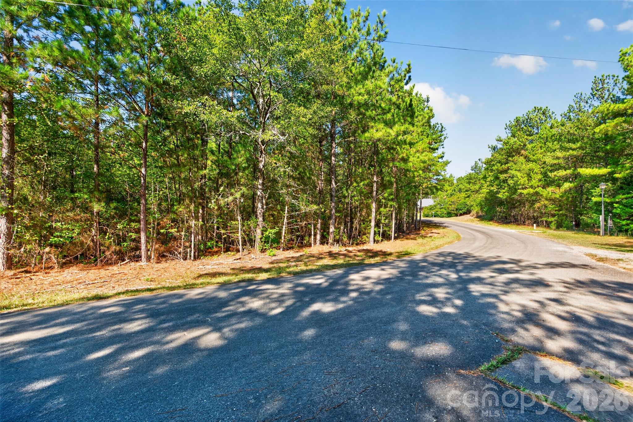 0000 Henderson Road Property Photo 10