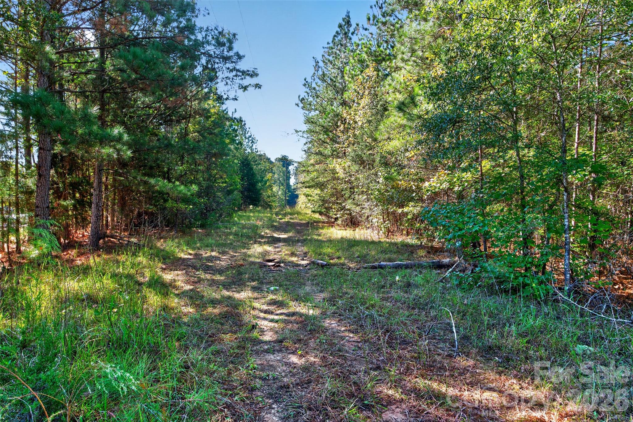 0000 Henderson Road Property Photo 11