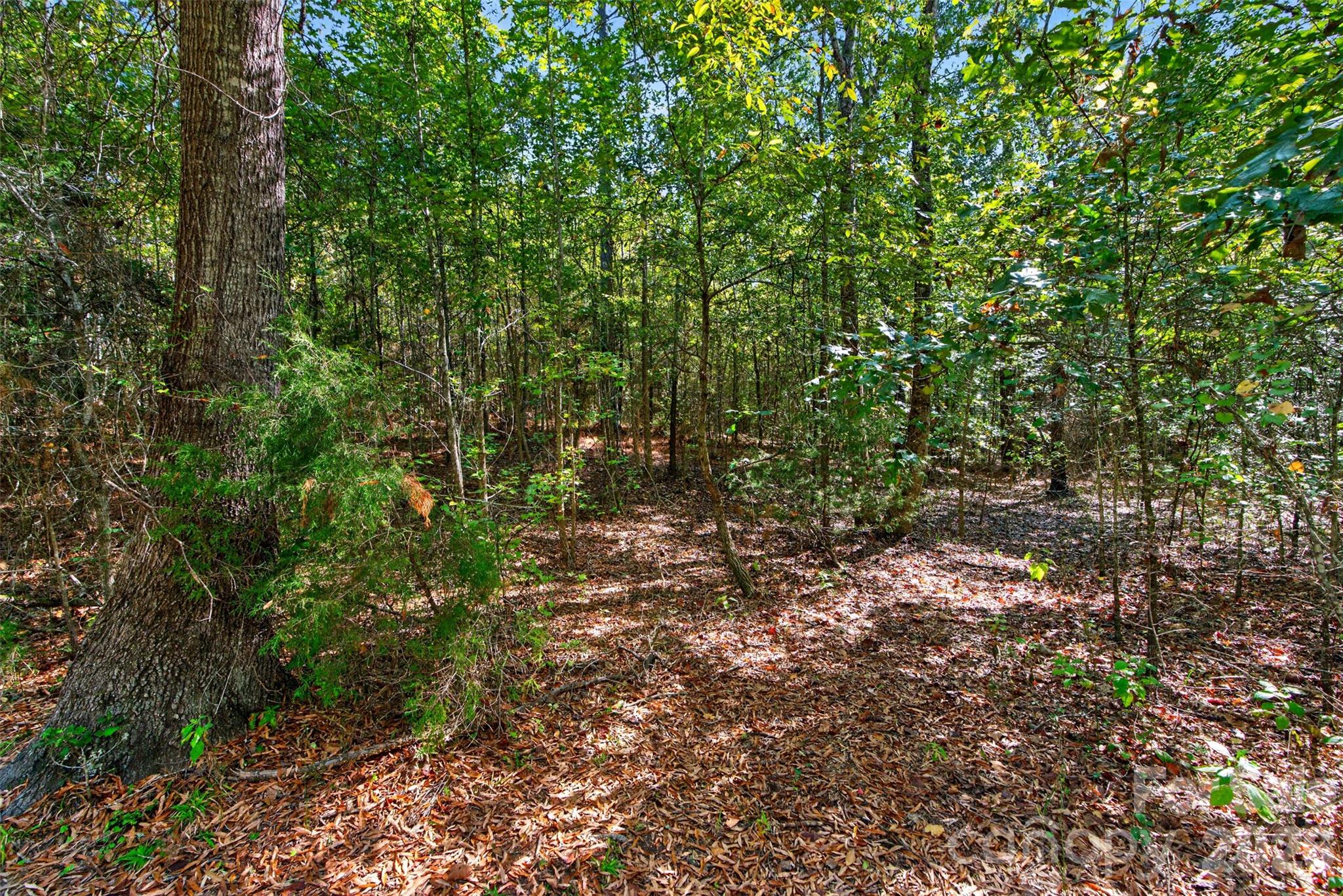 0000 Henderson Road Property Photo 12