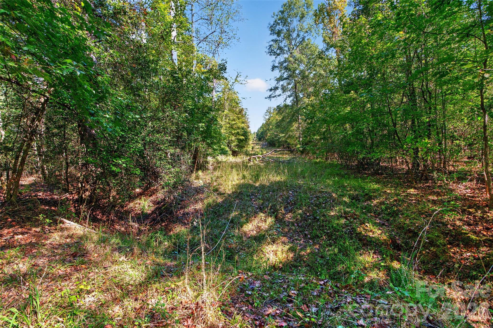 0000 Henderson Road Property Photo 17