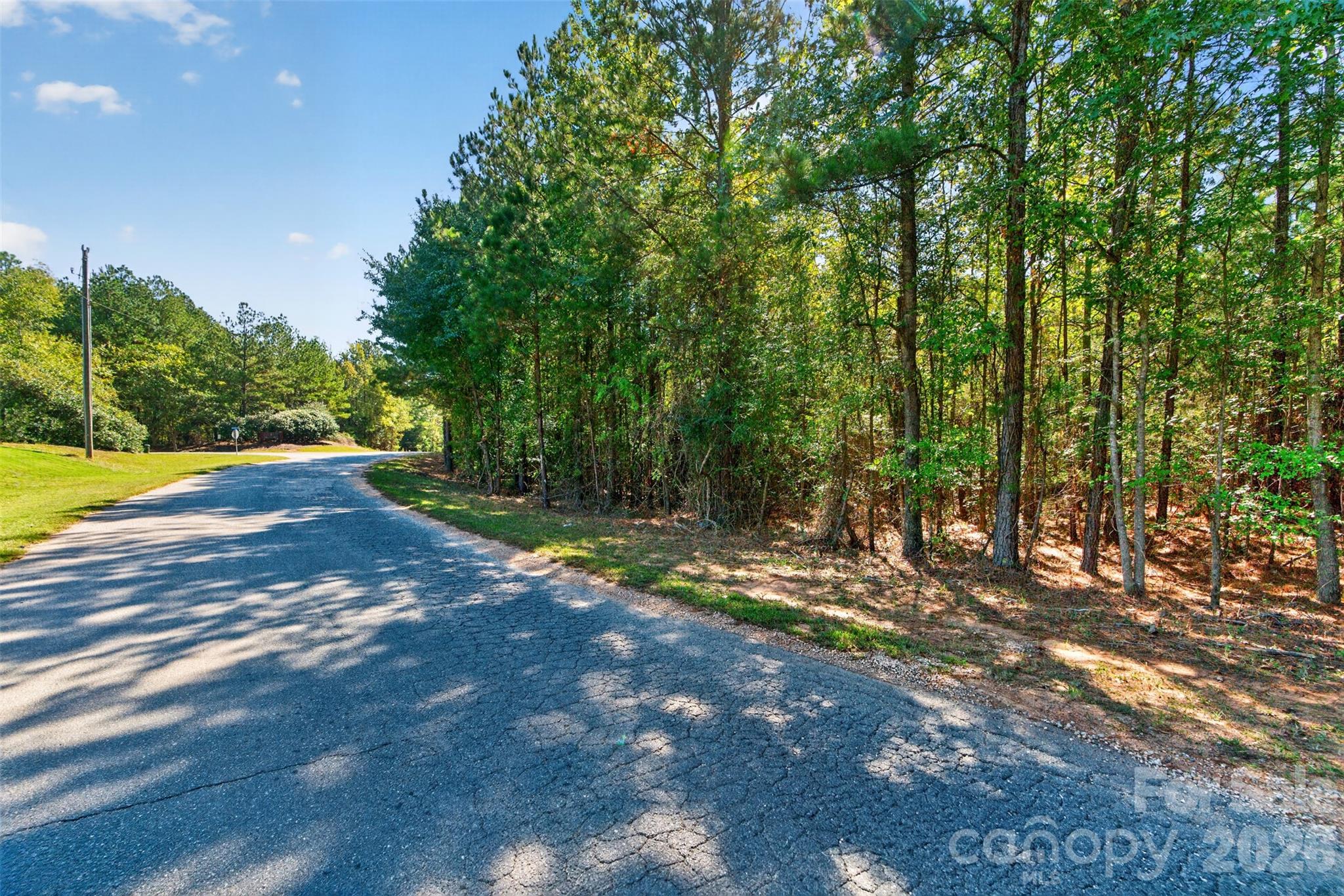 0000 Henderson Road Property Photo 18