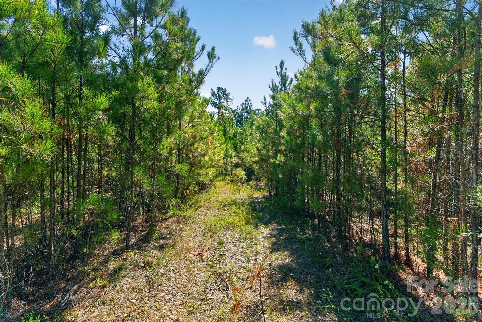 0000 Henderson Road Property Photo 20
