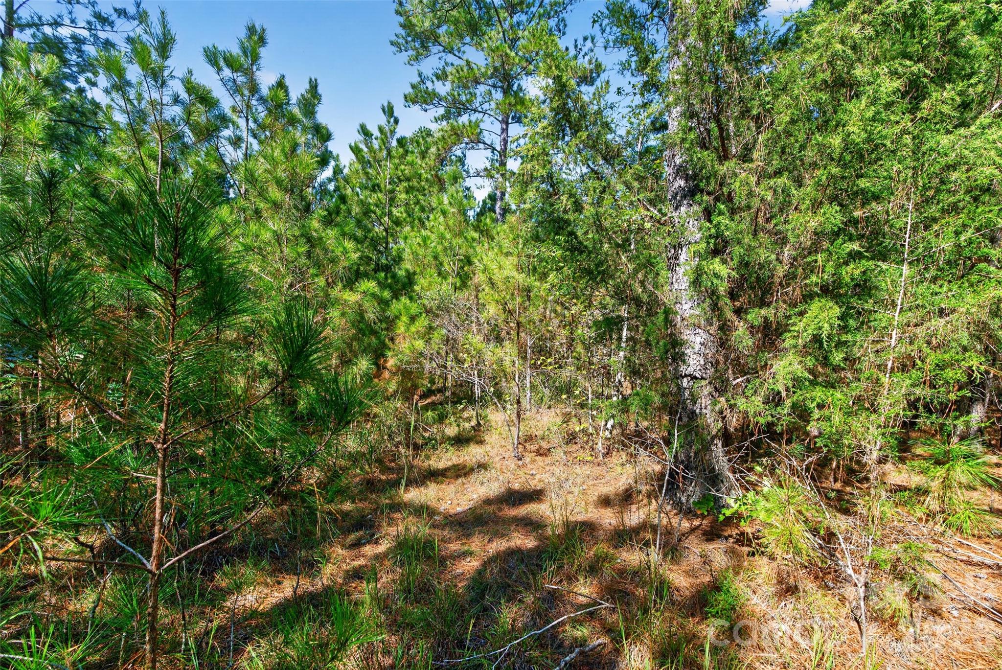 0000 Henderson Road Property Photo 24