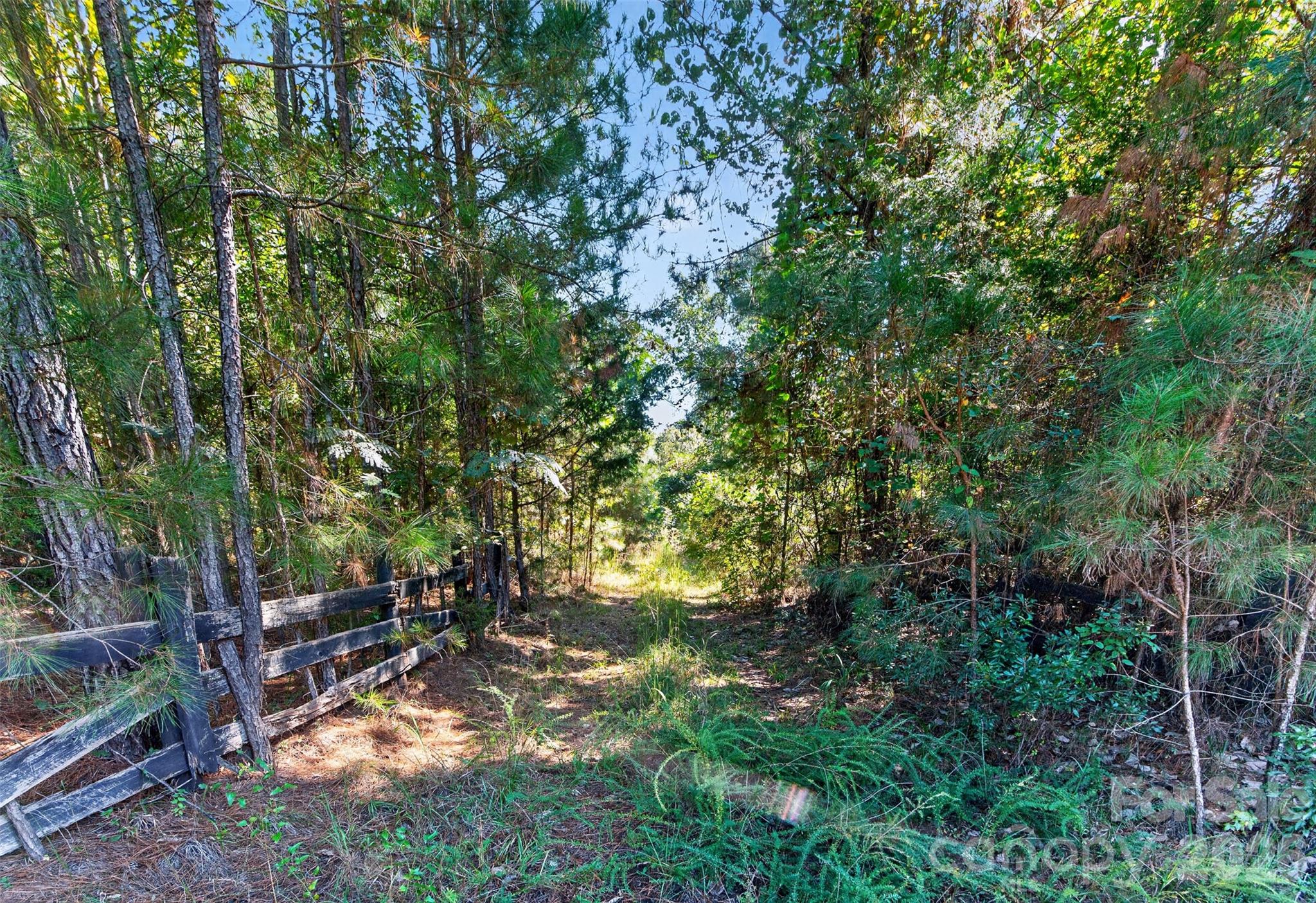 0000 Henderson Road Property Photo 30
